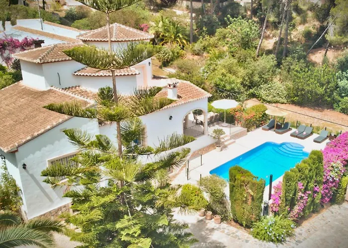 Palmera Jávea